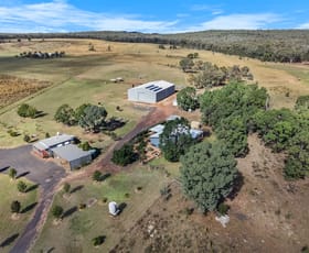 Rural / Farming commercial property for sale at 2068 Spring Ridge Road Gulgong NSW 2852