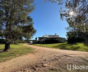 Rural / Farming commercial property for sale at 95 Copeton Dam Road Inverell NSW 2360