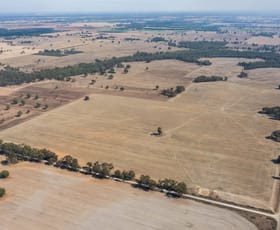 Rural / Farming commercial property for sale at 525 Central Mundoona Road Numurkah VIC 3636