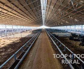 Rural / Farming commercial property for sale at 18 Penny Lane Lower Light SA 5501