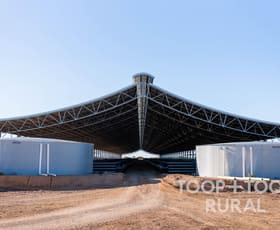 Rural / Farming commercial property for sale at 18 Penny Lane Lower Light SA 5501