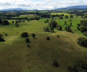 Rural / Farming commercial property for sale at Glen Allyn QLD 4885