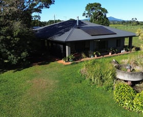 Rural / Farming commercial property for sale at Glen Allyn QLD 4885