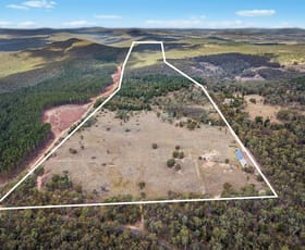 Rural / Farming commercial property for sale at 473 Lookout Road Mullion Creek NSW 2800