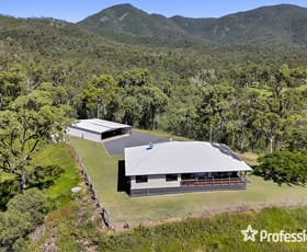 Rural / Farming commercial property for sale at 387 Sleipner Road Mount Chalmers QLD 4702
