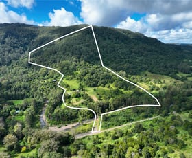 Rural / Farming commercial property for sale at 312 Gungas Road Nimbin NSW 2480