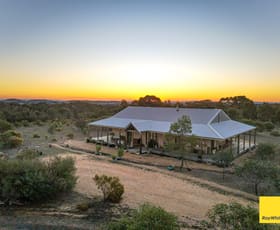 Rural / Farming commercial property for sale at 518 Mount Back Road Tarrengower VIC 3463