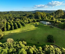 Rural / Farming commercial property for sale at 2502 Dunoon Road Rosebank NSW 2480