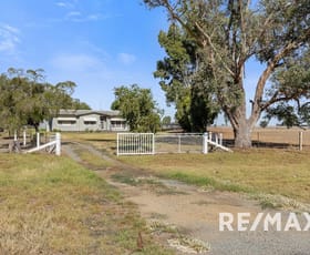 Rural / Farming commercial property for sale at 2463 Sturt Highway Collingullie NSW 2650