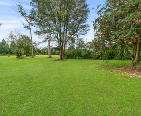 Rural / Farming commercial property for sale at 191 Bloodtree Road Mangrove Mountain NSW 2250