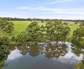 Rural / Farming commercial property for sale at 191 Bloodtree Road Mangrove Mountain NSW 2250