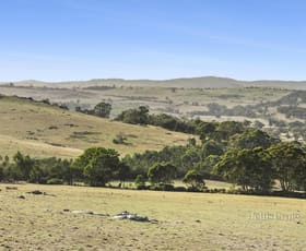 Rural / Farming commercial property for sale at 209 Fordes Lane Kyneton VIC 3444