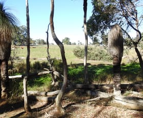 Rural / Farming commercial property for sale at 138 Jacka Road (Boallia) Busselton WA 6280