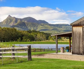 Rural / Farming commercial property for sale at 165 Limpinwood Valley Road Limpinwood NSW 2484
