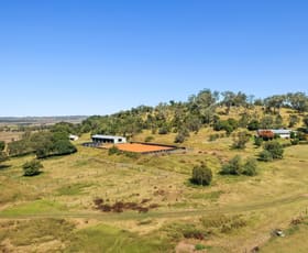 Rural / Farming commercial property for sale at 2733 Oakey - Cooyar Road Rosalie Plains QLD 4401