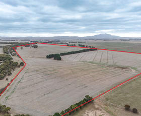 Rural / Farming commercial property for sale at 1, 2, 3 and 4/ Geelong Road Ballyrogan VIC 3375