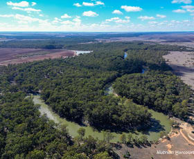 Rural / Farming commercial property for sale at Murrumbidgee River Road Carrathool NSW 2711