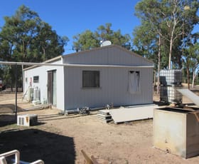 Rural / Farming commercial property for sale at Tara QLD 4421
