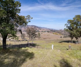 Rural / Farming commercial property for sale at 43A Schilg Lane Staghorn Flat VIC 3691
