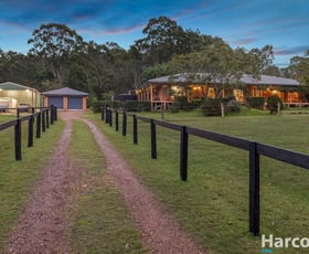 Rural / Farming commercial property for sale at 427 Italia Road East Seaham NSW 2324