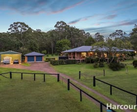 Rural / Farming commercial property for sale at 427 Italia Road East Seaham NSW 2324