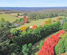 Rural / Farming commercial property for sale at 92 Powells Road Bilpin NSW 2758