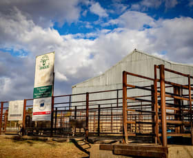 Rural / Farming commercial property for sale at 1482 Back Creek Road, Kingsvale (Via) Young NSW 2594