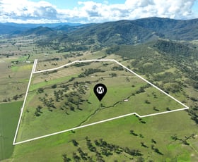 Rural / Farming commercial property for sale at 260 Mareeba Road Scone NSW 2337