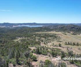 Rural / Farming commercial property for sale at Lot 102/1986 Pindari Dam Road Ashford NSW 2361