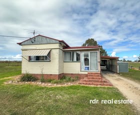 Rural / Farming commercial property for sale at 176 Brosnans Lane Inverell NSW 2360