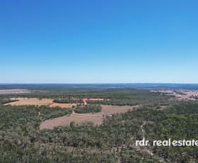 Rural / Farming commercial property for sale at 526 Bedwell Downs Road Ashford NSW 2361