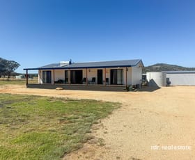 Rural / Farming commercial property for sale at Lot 103/1986 Pindari Dam Road Ashford NSW 2361