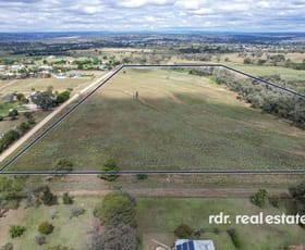 Rural / Farming commercial property for sale at Lot 133 Dog Trap Lane Inverell NSW 2360
