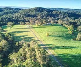Rural / Farming commercial property for sale at Dorrigo NSW 2453