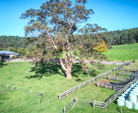 Rural / Farming commercial property for sale at Dorrigo NSW 2453