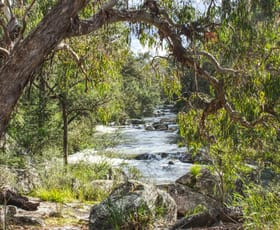 Rural / Farming commercial property for sale at Dorrigo NSW 2453
