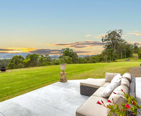 Rural / Farming commercial property for sale at 160 Milligans Lane Firefly NSW 2429