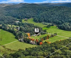 Rural / Farming commercial property for sale at 541 Yango Creek Road Laguna NSW 2325