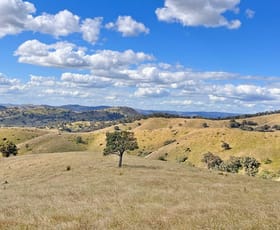 Rural / Farming commercial property for sale at Mount Darling Road Wyangala NSW 2808