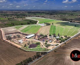 Rural / Farming commercial property for sale at 315 Centre Road Nathalia VIC 3638