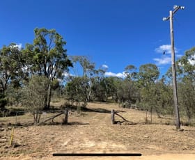 Rural / Farming commercial property for sale at 1527 Woodside Road Tenterfield NSW 2372