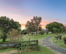 Rural / Farming commercial property for sale at 252 Stanfield Road Teviotville QLD 4309