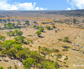Rural / Farming commercial property for sale at Lot 9 DP 8 Bowera Road Collector NSW 2581