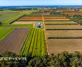 Rural / Farming commercial property for sale at 24 McDonald Road Jindong WA 6280