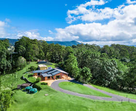 Rural / Farming commercial property for sale at 87 Stokers Road Stokers Siding NSW 2484