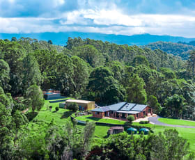 Rural / Farming commercial property for sale at 87 Stokers Road Stokers Siding NSW 2484