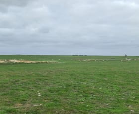 Rural / Farming commercial property for sale at Lot 311 Borden-Bremer Bay Road Bremer Bay WA 6338