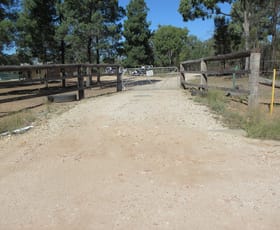 Rural / Farming commercial property for sale at 216 Butlers Road Tara QLD 4421