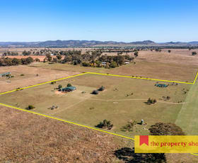 Rural / Farming commercial property for sale at 93 Williams Road Gulgong NSW 2852