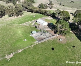 Rural / Farming commercial property for sale at 51 & 95 Kuhnes Road Mardan VIC 3953